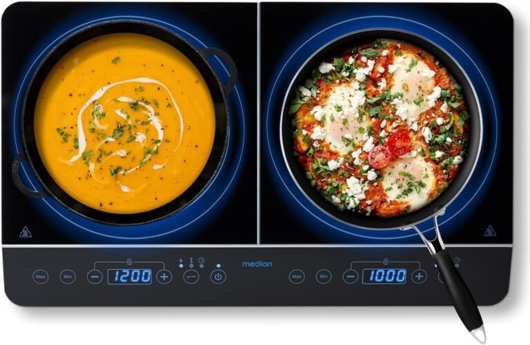 Placa de inducción: Potencia y Versatilidad